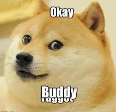 The image features a close-up of a Shiba Inu dog with a neutral expression. The dog's fur is a mix of white and reddish-brown. Superimposed on the image are two pieces of text: "Okay" at the top and "Buddy Ragget" at the bottom. The meme appears to be a reaction image, often used to express a non-committal or indifferent response to a situation or statement.