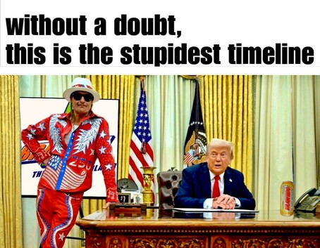 The image is a meme that appears to criticize or satirize a political figure, likely Donald Trump, given the context and the presence of a figure resembling him. The meme includes a text overlay that reads, "without a doubt, this is the stupidest timeline." This suggests the meme creator's opinion on the current political situation or the actions of the figure depicted. The figure on the left, dressed in a patriotic outfit, contrasts with the formal setting and the figure on the right, emphasizing the humorous or critical tone of the meme.