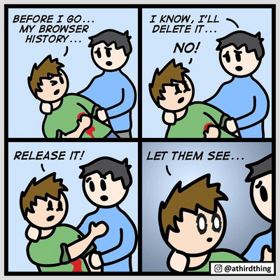 A four-panel comic shows a person collapsing and urgently declaring, "BEFORE I GO... MY BROWSER HISTORY..." Another person or friend leans in, thinking of deleting it, but the collapsing person shouts "NO!" and grabs their arm, insisting, "RELEASE IT! LET THEM SEE..." The humor comes from the exaggerated fear of someone's browsing history being revealed in their final moments.