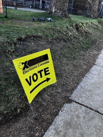 Yellow Elections Canada sign states, 'Vote' with a black arrow underneath in the ground on a hill. In the background are pigeons and a tree.
