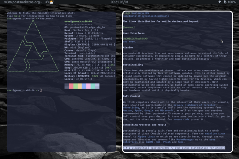 An image of the NiRi window manager running on PostMarketOS. There are two foot terminal windows open. The left one shows the PostMarketOS logo and some system information. The right one shows the PostMarketOS dot org website being rendered in the terminal-based browser w3m.