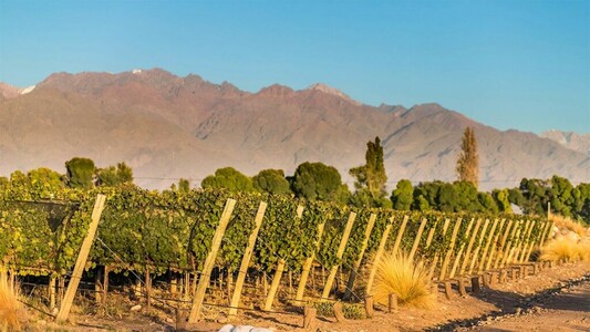 We Just Reviewed 8 Fantastic Argentine Malbec Wines Priced as Low as $12