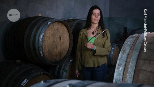 I embrace traditional roots in Argentinian winemaking
