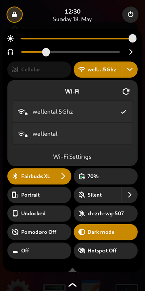 A screenshot of phosh's settings showing the Wi-Fi status page. There's a tick mark behind the currently active network.