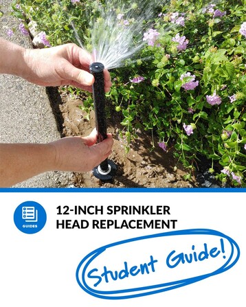 Photo of someone holding the head of a sprinkler in the ground. Underneath the photo is a blue horizontal line that separates it from text over a white background that says "12-inch Sprinkler Head Replacement" with a graphic that says "Student Guide!" in handwritten text.