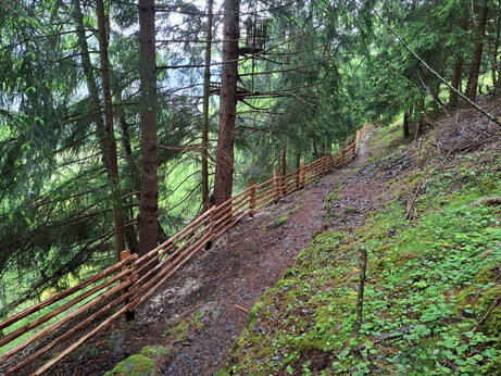 A hand-built wooden fence made of smooth, stripped logs runs alongside a dirt path through a sloped forest. The fence curves naturally with the terrain, supported by round vertical posts and attached to a large tree on the left. The forest is dense with tall evergreen trees, and the ground is a mix of soil, rocks, and wood shavings, with some moss and sparse undergrowth.