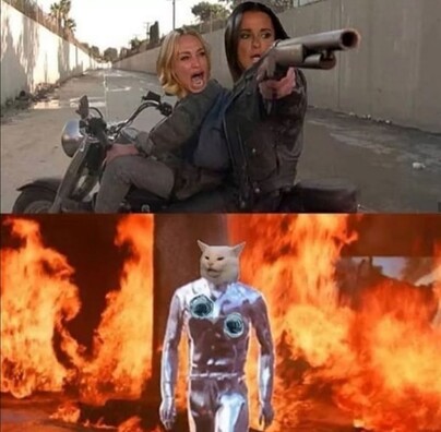 cat-terminator.jpg