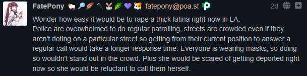 From @fatepony@poa.st: "Wonder how easy it would be to rape a thick latina right now in LA. Police are overwhelmed to do regular patrolling, streets are crowded even if they aren't rioting on a particular street so getting from their current position to answer a regular call would take a longer response time. Everyone is wearing masks, so doing so wouldn't stand out in the crowd. Plus she would be scared of getting deported right now so she would be reluctant to call them herself."