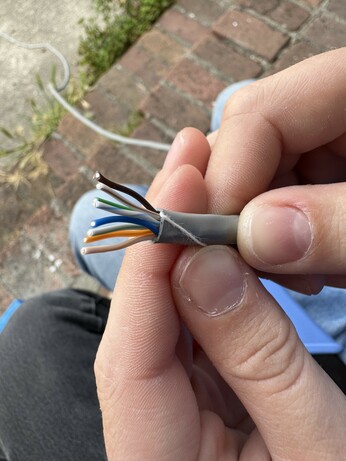 CAT5e twisted pairs separated, cut and ordered into OW/O/GW/B/BW/G/BrW/Br