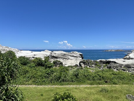 A green field with lush trees and white limestone formations and the ocean in the background, with a big puffy cloud in the distance.