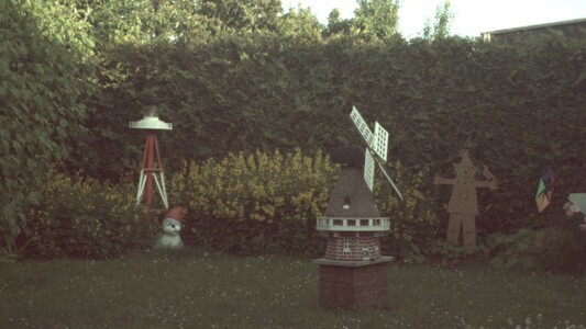 Photo of a garden