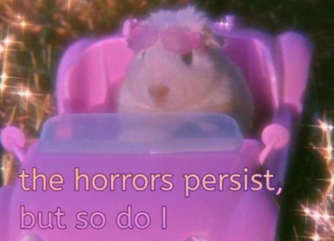pink tiny plastic car with hamster with tiny plastic heart-shaped glasses perched on their head
The horrors persist, but so do I