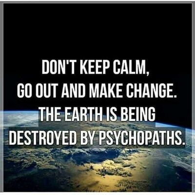 picture of the earth from space
Don't keep calm, 
Go out and make change.
The Earth is being destroyed by psychopaths.
