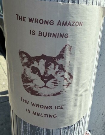 "lost cat" picture of a one-eyed cat on a post
The Wrong Amazon is Burning
The Wrong Ice is Melting