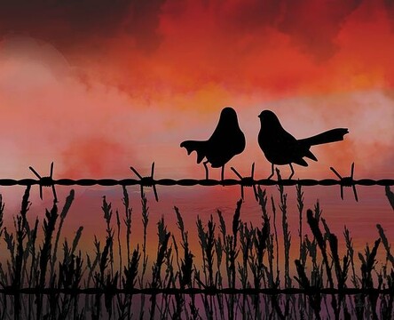 Farm Sunrise For Two by Joan Stratton - paintingsbyjoan.com

A mating pair of willy wagtails perched on a barbed wire fence, at the farm, taking in the beauty of the morning sunrise but wary of the stormy sky and the rain it will bring.

Silhouettes of two birds perch on a barbed wire fence against a dramatic sunset sky. Tall grass silhouettes frame the bottom, adding depth to the vibrant orange and pink hues of the sky.

Ether Art – A hand-drawn drawing / painting using the exciting modern art form, where art is created from scratch using a computer in lieu of a real canvas and paint, water colour, pastel, pencil, charcoal etc I create digital art from the ether, exactly the same as if I was starting with a blank canvas.