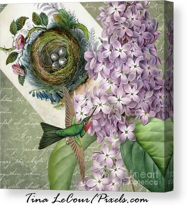 This is a mixed media canvas collage of a ruby throated hummingbird with a big lilac flower and and old vintage postcard of bird next against a textured green background with an old vintage letter.