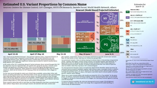 Chart: Est. U.S. Variant Proportions by Common Name
Sources: CDC, Cov-Lineages, NYITCOM, others

[ beadsland on Ko-fi ]

Reskin of CDC's Variants Nowcast, and any significant variants in GISAID not broken out by CDC.

Five bar-style tree-charts, for fortnights through 6/8–6/21. Legend of last fortnight, organized by subheadings of color-grouped families and convergent clusters. Percentages overlay each color key, reflecting share as of most recent tree-chart.

Essentially all Omicron-2 BA.2 dynasty. WHO-Vaccine-Target JN.1 family accounts for well over half share; Nimbus NB.1.8.1 / PQ for over two fifths.

For 6/8–6/21, packed bubble charts fill single-variant tiles, reflecting GISAID detail not shown by CDC's Nowcast.

Legend:

Omicron-2 BA.2 [green]:
43% - PQ.2† & other Nimbus NB.1.8.1 / PQ

JN.1.11 + FLiRT31-LP [purple]:
31% - LP.8.1.1 / NY† & other FDA-Vaccine-Target LP.8.1

LF.7 + NTD-meets-RBD [browns]:
14% - XFG.2†, XFG.3† & other Stratus XFG
5% - XFC

JN.1 + FLiRT-LF-7 [reds]:
4% - LF.7.9, LF.7.7.2 & LF.7.7.1 / PV
⅗% - LF.7.2.1 / PC & other LF.7

JN.1.11 [blues]:
⁹⁄₁₀% - PA.1 & MC.10.1
⅓% - KP.3, XEQ & XEK
⅐% - MC.1 & other KP.3.1.1 / MC

Other [greys]:
⅕% - LB.1.3.1 / NL
1% - XEC.4 & other XEC
0% - Other (not specified)
_____

Nimbus NB.1.8.1 / PQ is a scion of left-field Razor-Blade-Throat XDV.

Razor-Blade-Throat XDV was a child of Winter 2024's WHO-Vaccine-Target JN.1 and left-field recombinant XDE.

[Some footnotes omitted, due to too many recombinants.]
