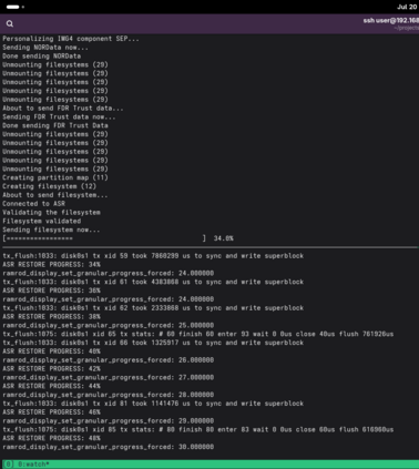 Screenshot of a terminal window on a desktop Linux computer showing log outputs of flashing the iOS system to the emulated iPhone