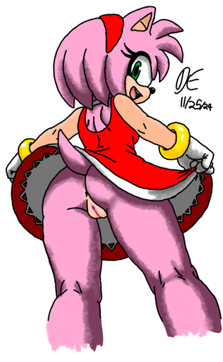 Amy Rose (Sonic the Hedgehog)